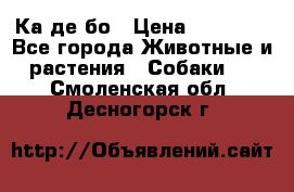 Ка де бо › Цена ­ 25 000 - Все города Животные и растения » Собаки   . Смоленская обл.,Десногорск г.